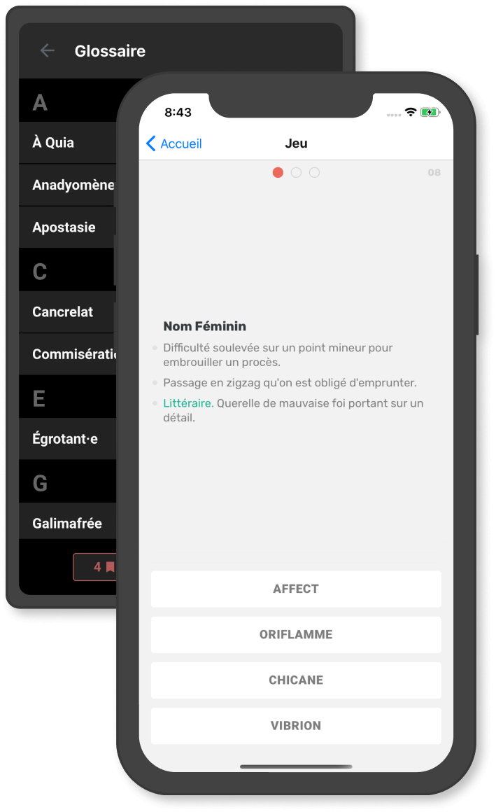 Aperçu de l'app Voquludis.